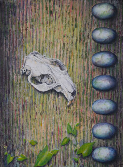 "Arrangement With Beaver Skull" painting by Shelley Pearson