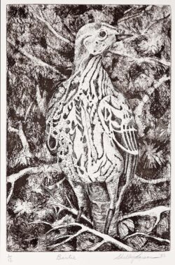 "Bertie" print by Shelley Pearson