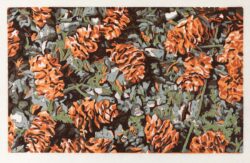 "Pine Cones" print by Shelley Pearson