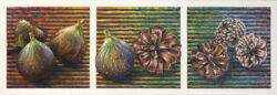 Romeo and Juliet - Figs and Lodge Pole Pine Cones -painting by Shelley Pearson