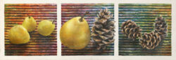 Romeo and Juliet - Pears and Limber Pine Cones - painting by Shelley Pearson