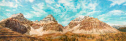 Oil Painting 'Larch Valley' by Shelley Pearson