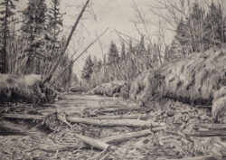 Drawing 'Low Water' by Shelley Pearson