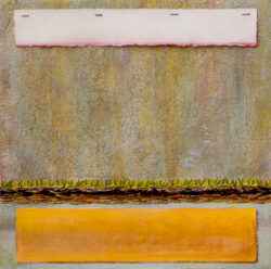 Tarp at the Turf Line - painting by Shelley Pearson