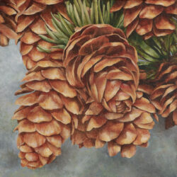 Flower/Seed 1 - painting by Shelley Pearson