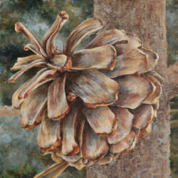 Flower/Seed 2 - painting by Shelley Pearson