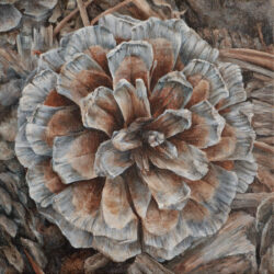 Flower/Seed 3 - painting by Shelley Pearson