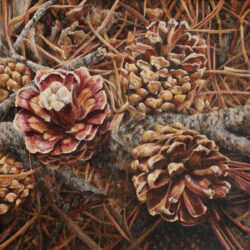 Flower/Seed 4 - painting by Shelley Pearson
