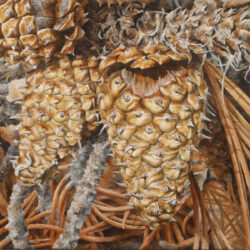 Flower/Seed 5 - painting by Shelley Pearson