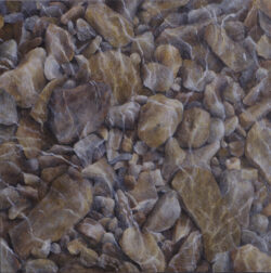 Creek Crossing - painting by Shelley Pearson